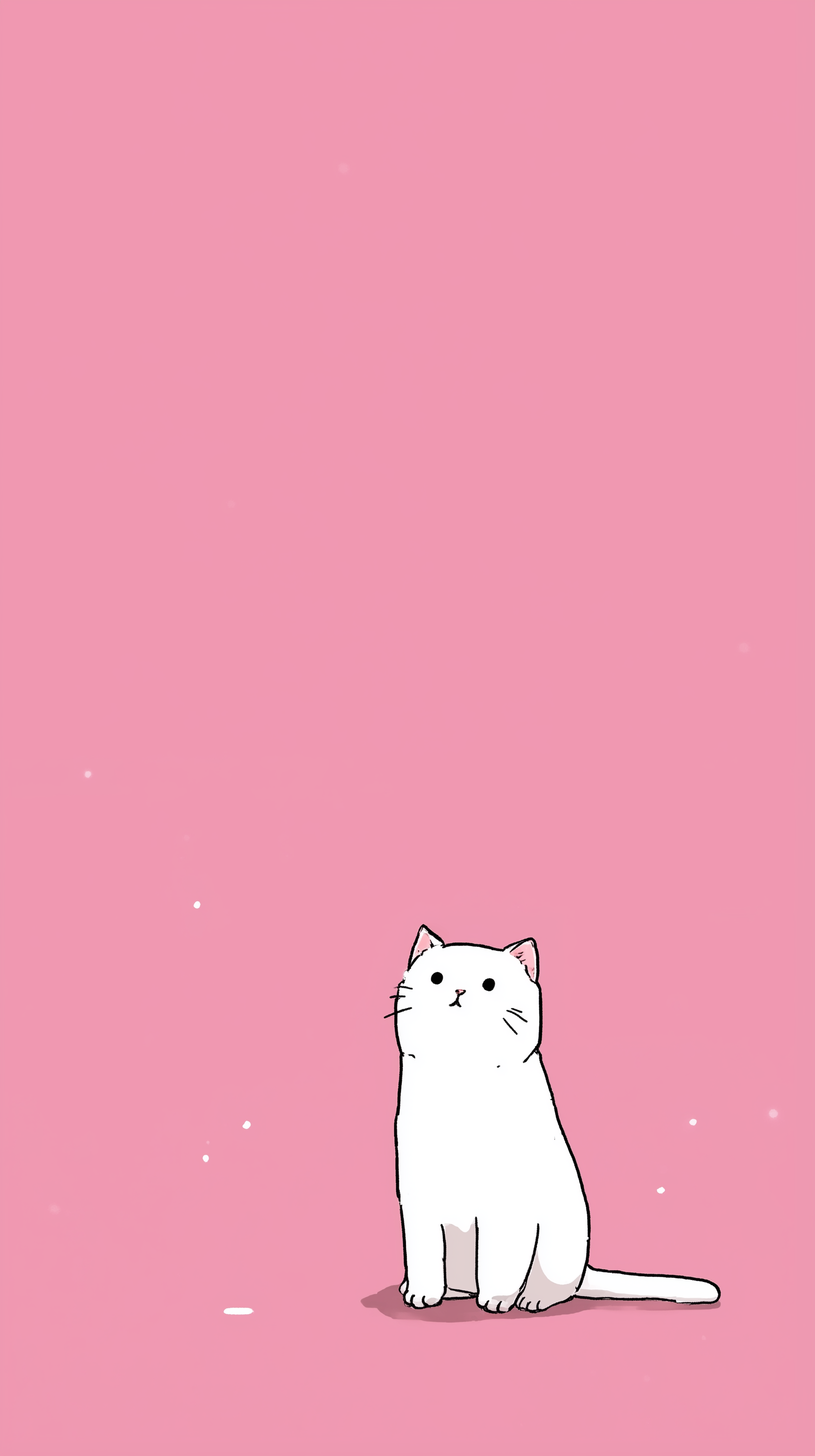 Wallpaper 7